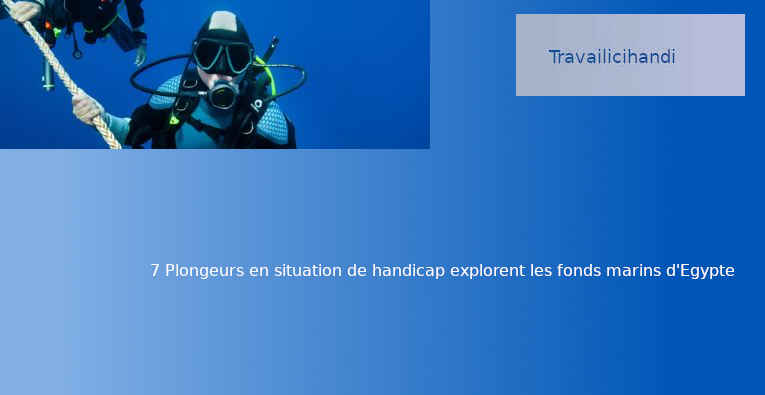7 plongeurs explorent les fonds marins d'Egypte